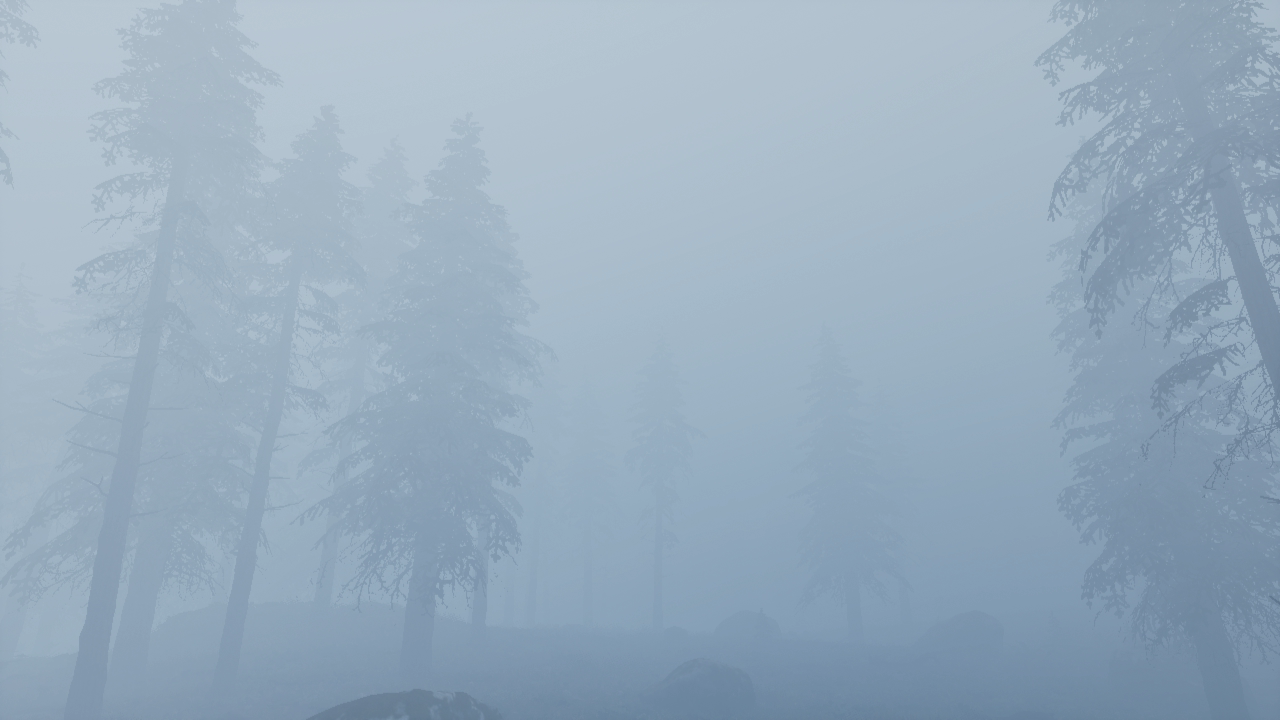 _images/f_heavy_fog.png