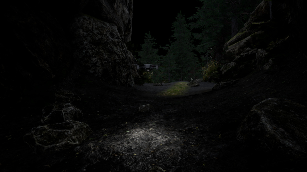 _images/forest_night_leds.jpg